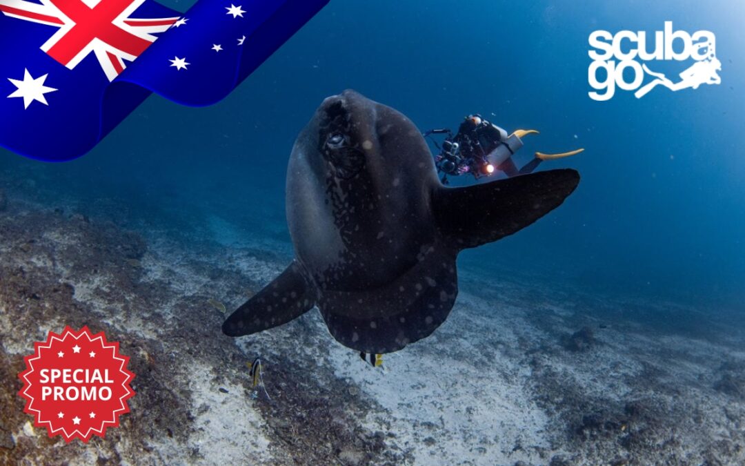 Special Promo for Australia Citizens