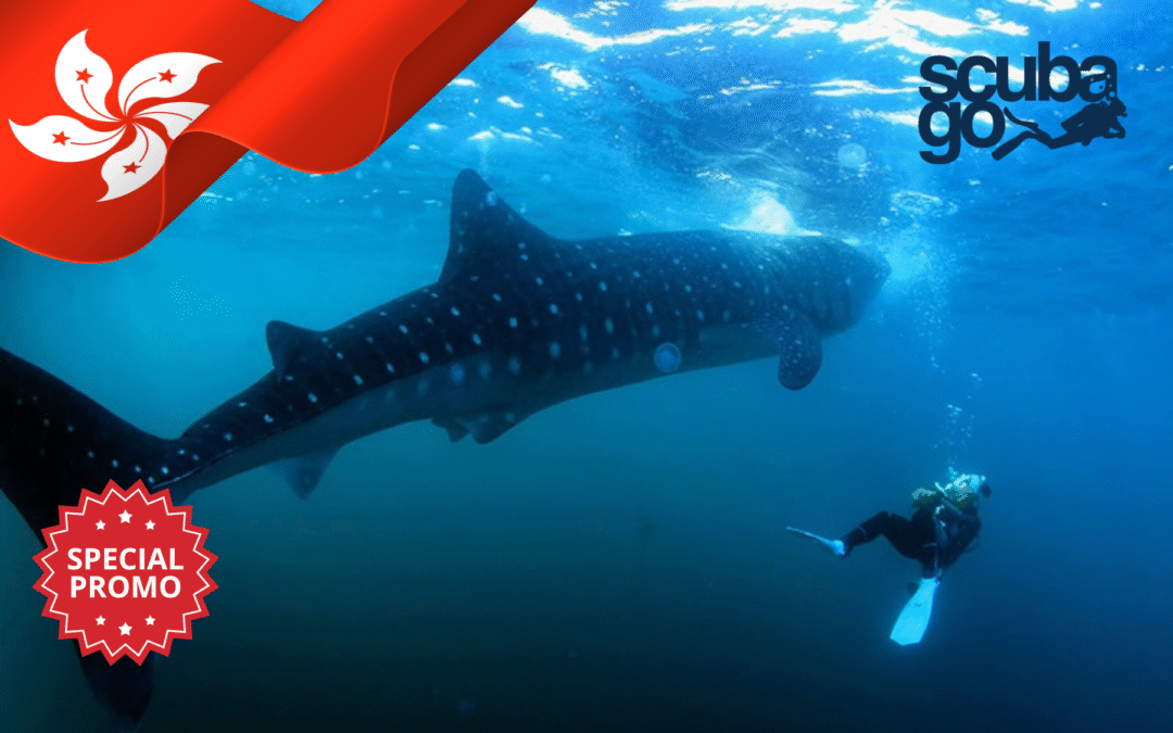 Special Offer for Hong Kong Customers