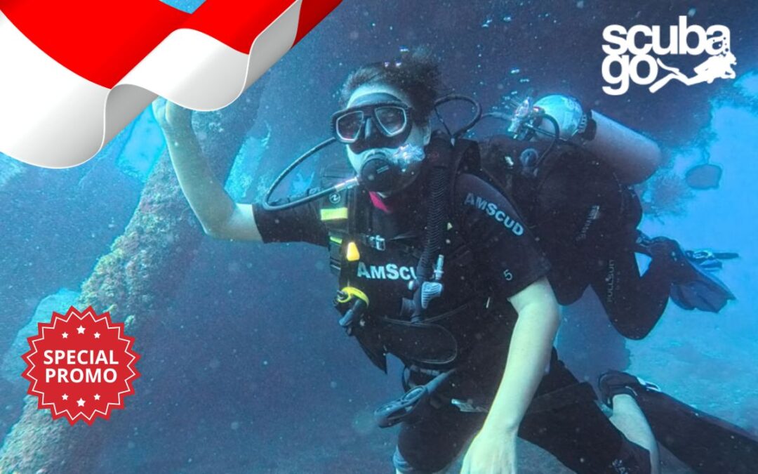 Special Offer for Indonesia Customers