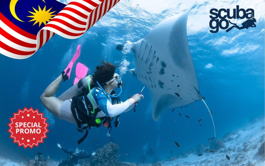 Special Offer for Malaysia Customers