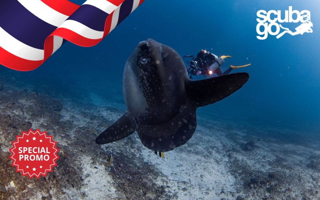 Special Offer for Thailand Customers